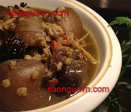 Thịt Ngựa Nấu Món Gì Ngon? Xem 15+ Món Ngon Từ Thịt Ngựa 10 Đuôi ngựa hầm thuốc bắc