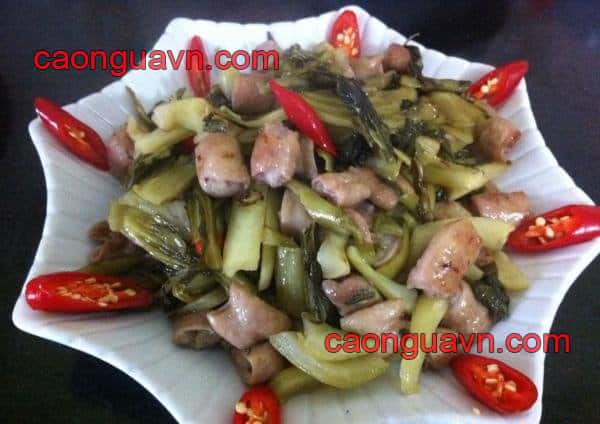 Thịt Ngựa Nấu Món Gì Ngon? Xem 15+ Món Ngon Từ Thịt Ngựa 9 Lòng ngựa xào dưa