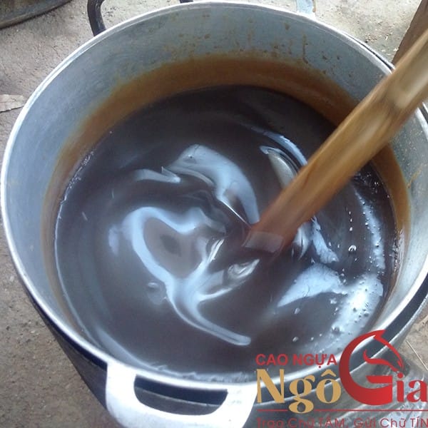 Hướng Dẫn Cách Nấu Cao Mèo Đen Từ Công Ty NGÔ GIA 3 Cách nấu cao mèo đen 2