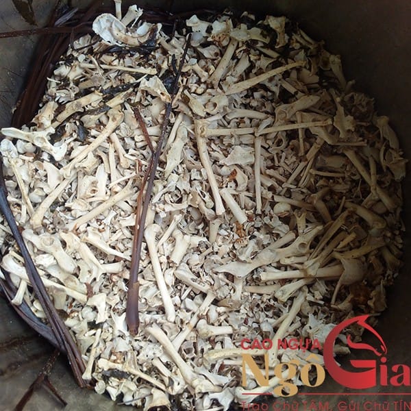 Hướng Dẫn Cách Nấu Cao Mèo Đen Từ Công Ty NGÔ GIA 4 Cách nấu cao mèo đen 3