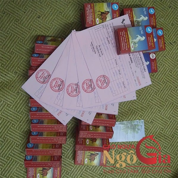 Mua Cao Ngựa Bạch Ở Đâu Tốt Nhất Hà Nội, TPHCM? 10 Mua cao ngựa ở đâu