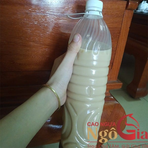 Cách Làm Cao Ngựa Bạch Ngâm Rượu Đơn Giản Tại Nhà 4 Cao ngựa ngâm rượu 2