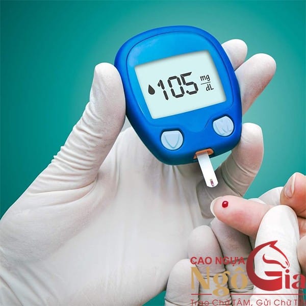 Người Bị Tiểu Đường Có Uống Được Cao Ngựa Không? 2 Người bị tiểu đường có uống được cao ngựa không