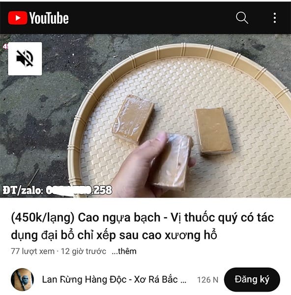 Giá Cao Ngựa Bạch Mắt Đỏ NGÔ GIA 1.2tr/Lạng Freeship 4 Giá cao ngựa bạch 4