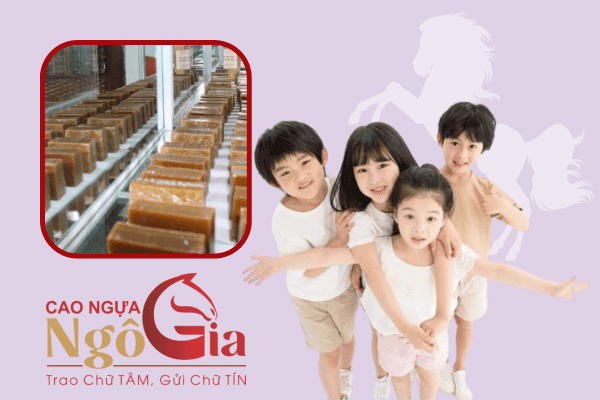 Đúng hay sai khi sử dụng cao ngựa bạch cho trẻ em?