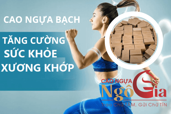 Tìm Hiểu +6 Tác Dụng Của Cao Ngựa Bạch Từ Chuyên Gia 4 Cao ngựa bạch có tác dụng tăng cường sức khoẻ xương khớp