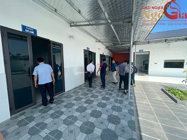 Cao Ngựa Bạch NGÔ GIA - Thương Hiệu Nổi Tiếng Quốc Gia 2 Bên trong xưởng sản xuất cao ngựa Ngô Gia