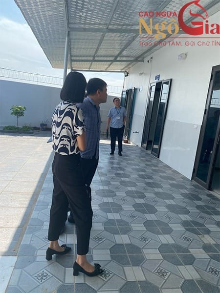 Cao Ngựa Bạch Mắt Đỏ Nguyên Chất Chính Hãng Giá 1.2tr 22 Cán bộ Sở NNPTNT Bắc Giang thăm xưởng sản xuất cao ngựa Ngô Gia