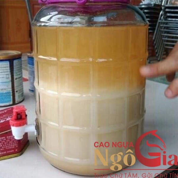 Cách Làm Cao Ngựa Bạch Ngâm Rượu Đơn Giản Tại Nhà 8 Cao ngựa ngâm rượu bao lâu thì uống được