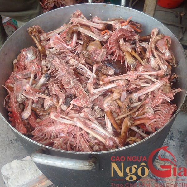 Hướng Dẫn Cách Nấu Cao Mèo Đen Từ Công Ty NGÔ GIA 7 Cách nấu cao mèo đen khá công phu