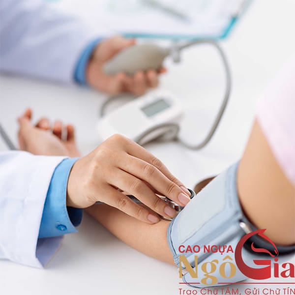 Người Cao Huyết Áp Có Dùng Được Cao Ngựa Không? 5 Người cao huyết áp có dùng được cao ngựa không?