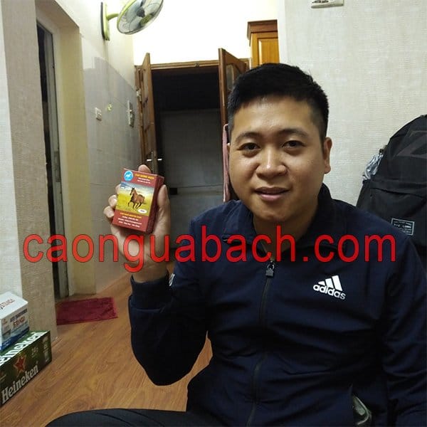 Cho Gà Chọi Ăn Cao Ngựa Có Tốt Không? Thuốc Bổ Cho Gà Chọi 8 Cho gà chọi ăn cao ngựa