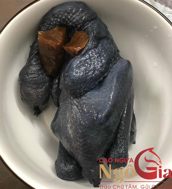 Hướng Dẫn Cách Hầm Gà Với Cao Ngựa Cực Ngon! 7 Cách hầm gà với cao ngựa