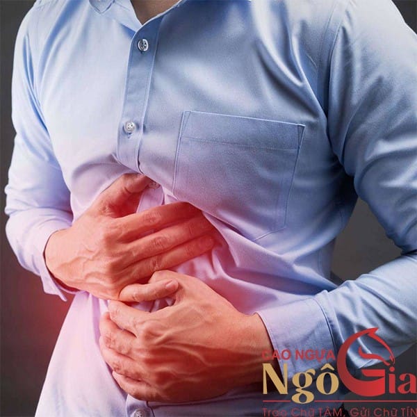Đau Dạ Dày Có Ăn Được Cao Ngựa Không? Ăn Thế Nào? 6 Đau dạ dày có ăn được cao ngựa không