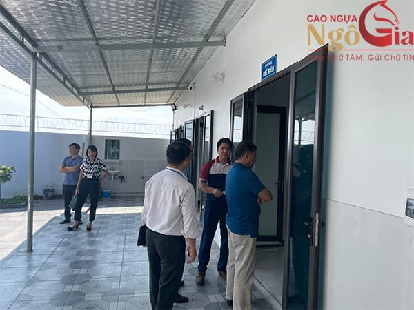 Giới thiệu xưởng sản xuất cao ngựa Ngô Gia