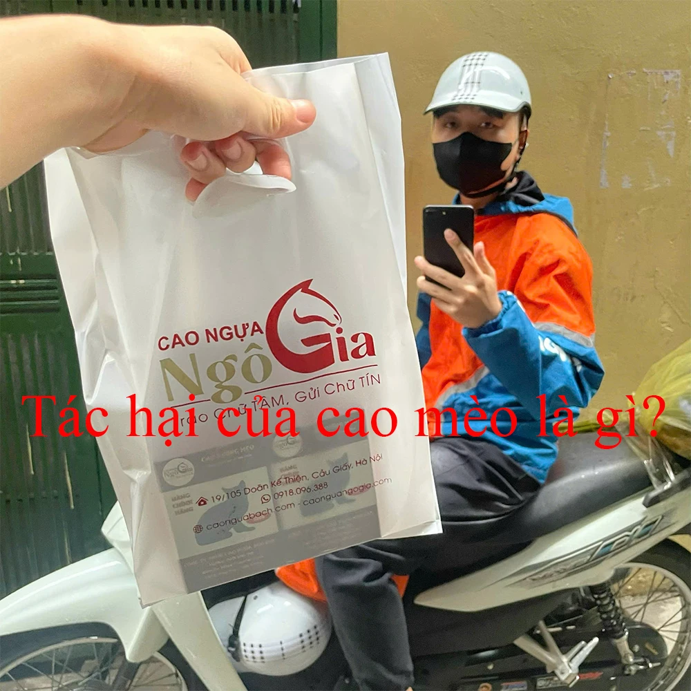 Tác Hại Của Cao Mèo Khi Sử Dụng Không Đúng Cách 1 Tác hại của cao mèo