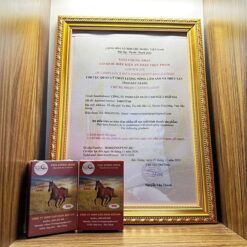 Cao ngựa thường 2